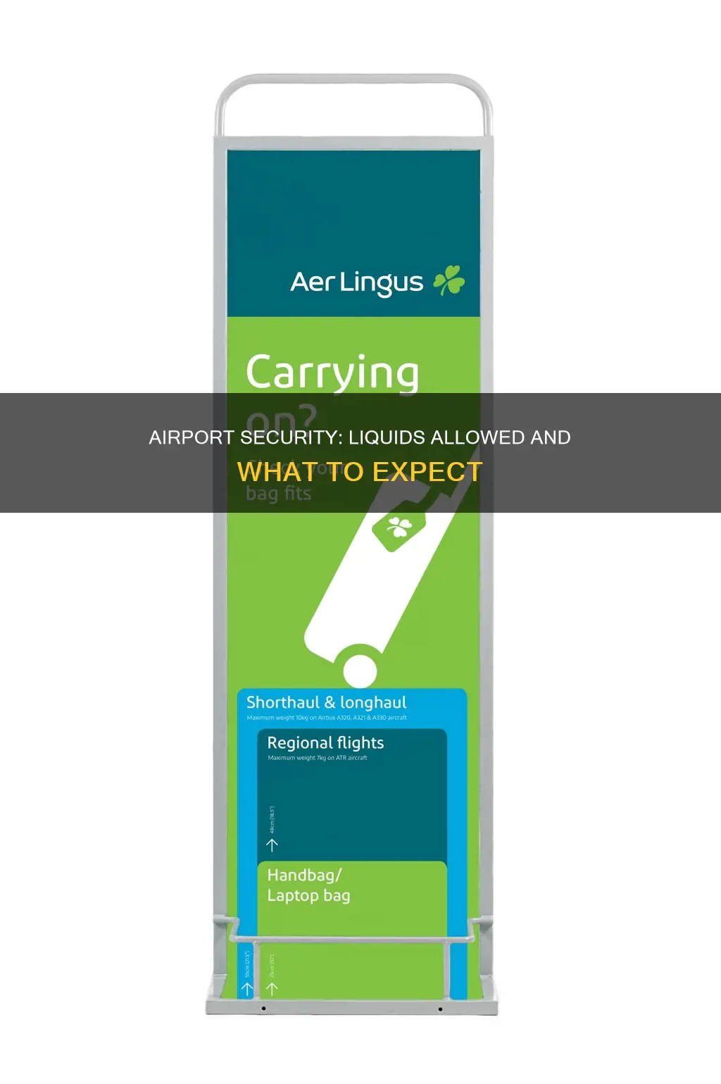 can you take 80 g of liquid through airport security
