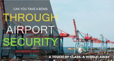 Traveling with a Bong: Airport Security Guide
