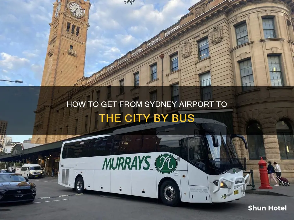 can you take a bus from sydney airport to town