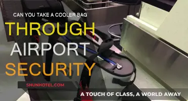 Cooler Bags: Airport Security Clearance?