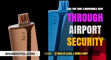 Airport Security and Disposable Vapes: What's Allowed?
