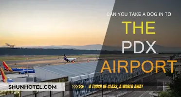 PDX Airport: Can You Bring Your Dog?