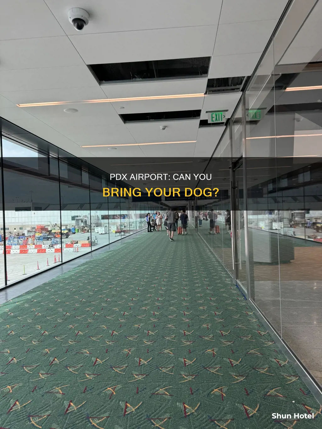 can you take a dog in to the pdx airport