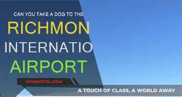 Traveling with Dogs: Richmond Airport Pet Policy