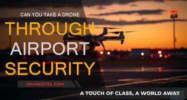 Drone Travel: Airport Security Clearance
