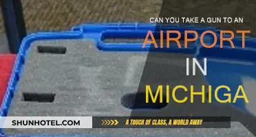 Michigan Airports: Can You Bring Your Gun?