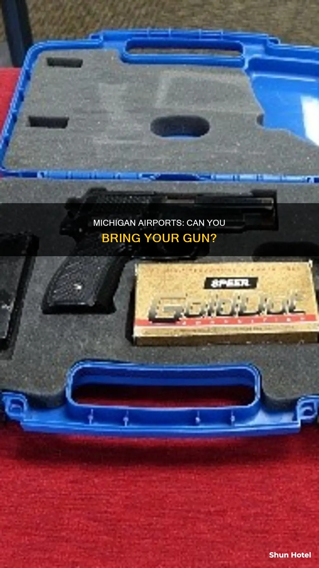 can you take a gun to an airport in michigan