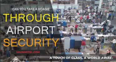 Hoagies on a Plane: TSA Food Rules Explained
