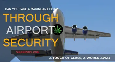 Marijuana E-Cigs and Airport Security: What You Need to Know