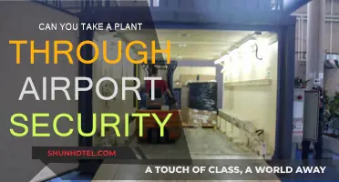 Airport Security: Can You Bring Plants Onboard?