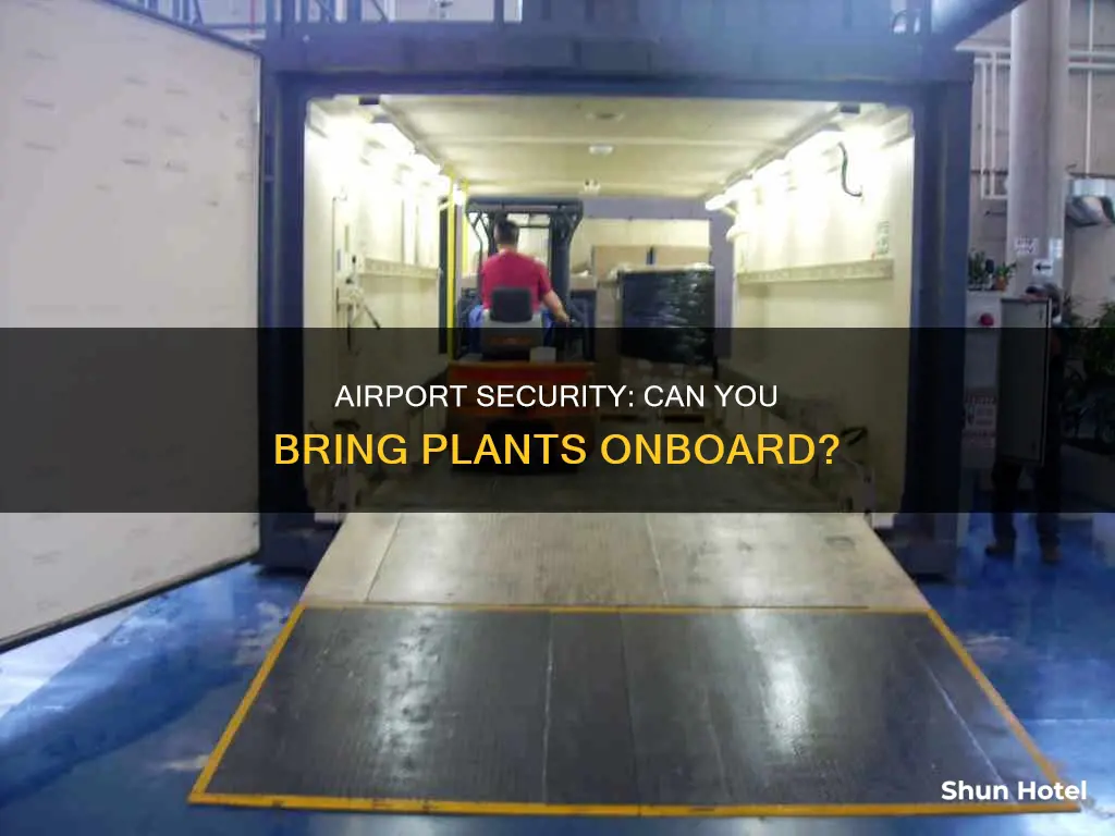 can you take a plant through airport security