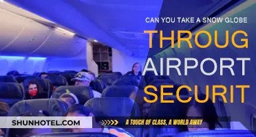 Snow Globe Travel: Airport Security Clearance?