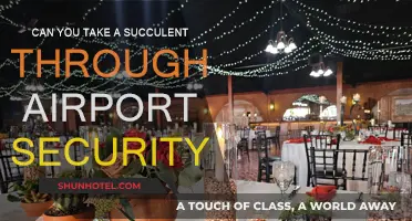 Traveling with Succulents: Airport Security Guide