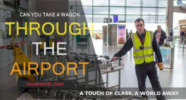Traveling with a Wagon: Navigating Airport Logistics