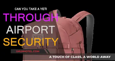 Traveling with a Yeti: Airport Security Tips