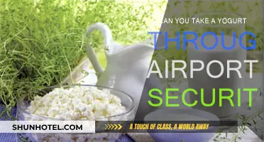 Airport Security and Yogurt: What's Allowed?
