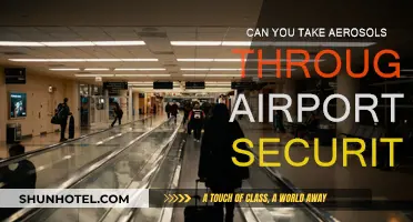Aerosols and Airport Security: What's Allowed?