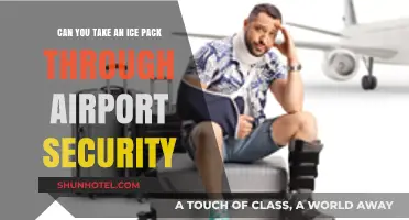 Traveling with Ice Packs: Airport Security Rules