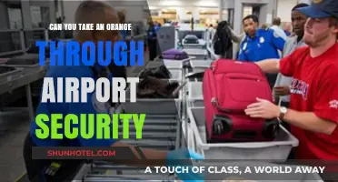 Airport Security: Can You Bring Oranges?