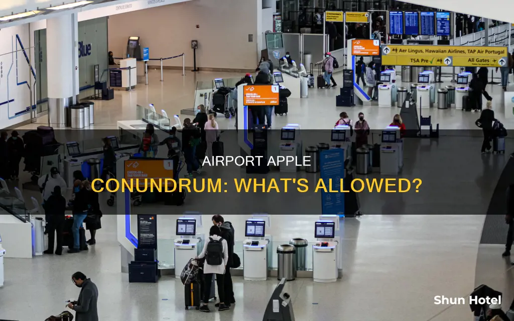 can you take apples to airport