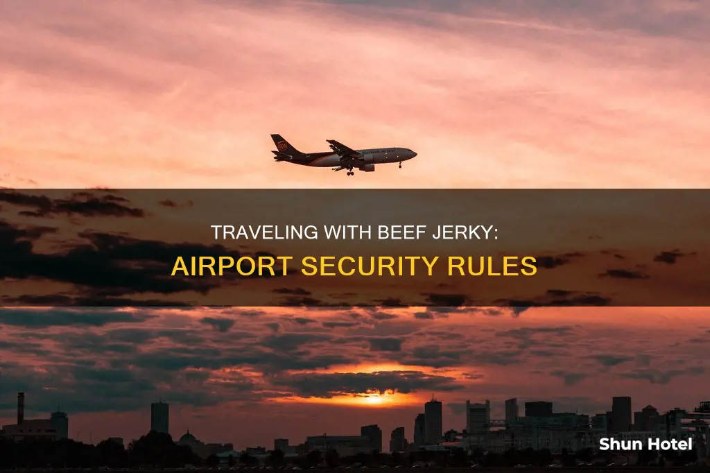 can you take beef jerky through airport security