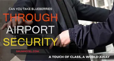 Traveling with Blueberries: Airport Security Rules