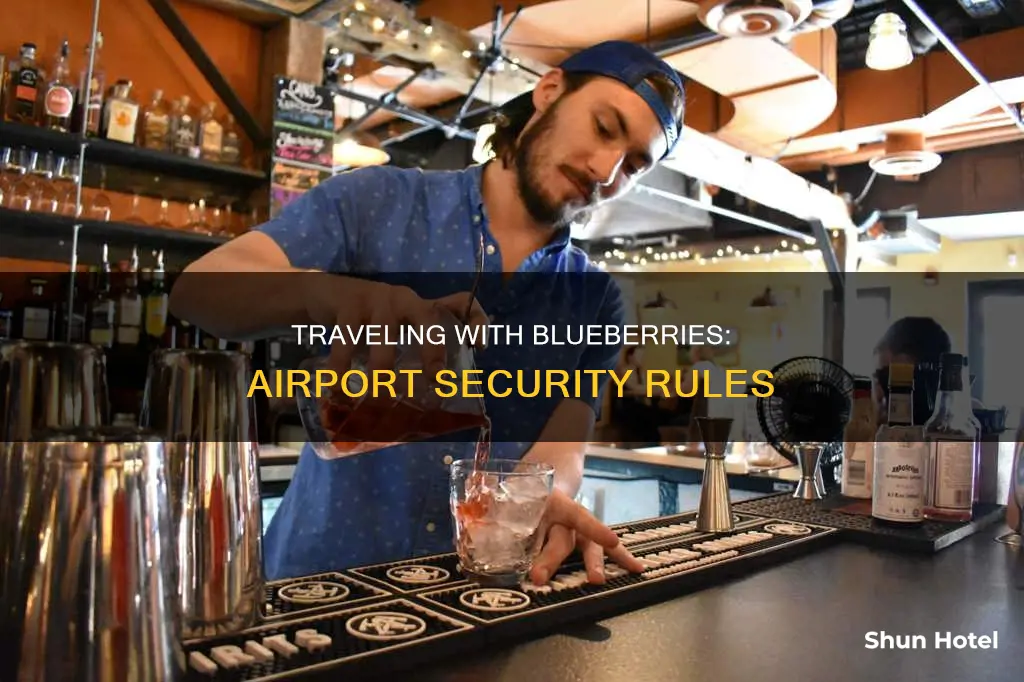 can you take blueberries through airport security