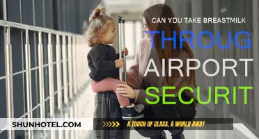 Breastmilk and Airport Security: What You Need to Know