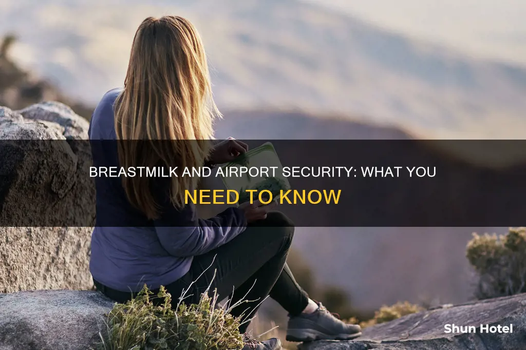 can you take breastmilk through airport security