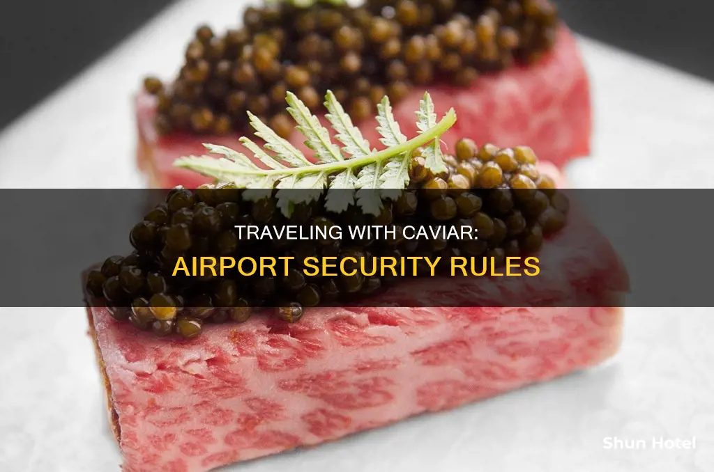 can you take caviar through airport security