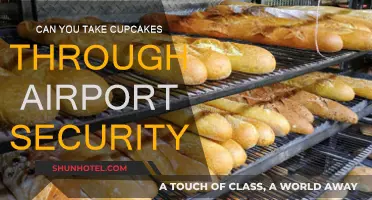 Traveling with Cupcakes: Airport Security Rules and Tips