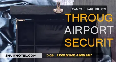 Traveling with Sex Toys: Airport Security and Dildos