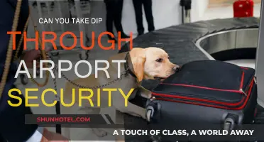 Traveling with Dip: Airport Security Rules