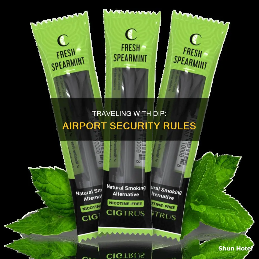 can you take dip through airport security
