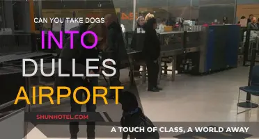 Dulles Airport: Are Dogs Allowed Inside?