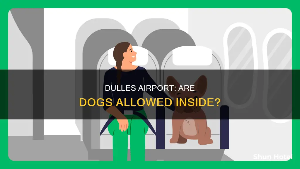 can you take dogs into dulles airport