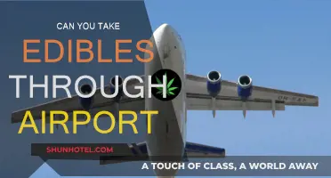 Traveling with Edibles: Airport Rules and Regulations