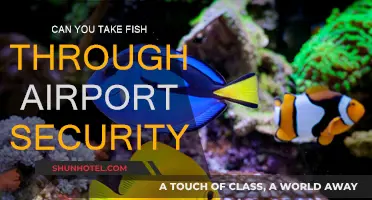 Traveling with Fish: Airport Security Rules