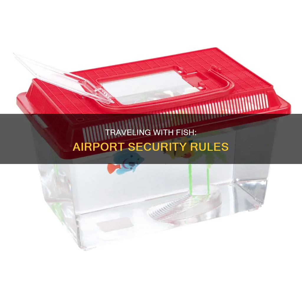 can you take fish through airport security