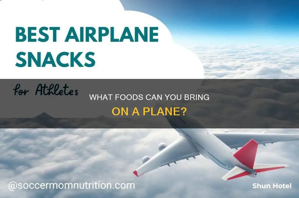 can you take food on a plane edinburgh airport security