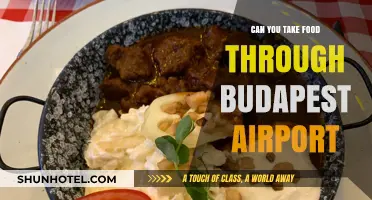 Navigating Budapest Airport: Food Rules and Regulations