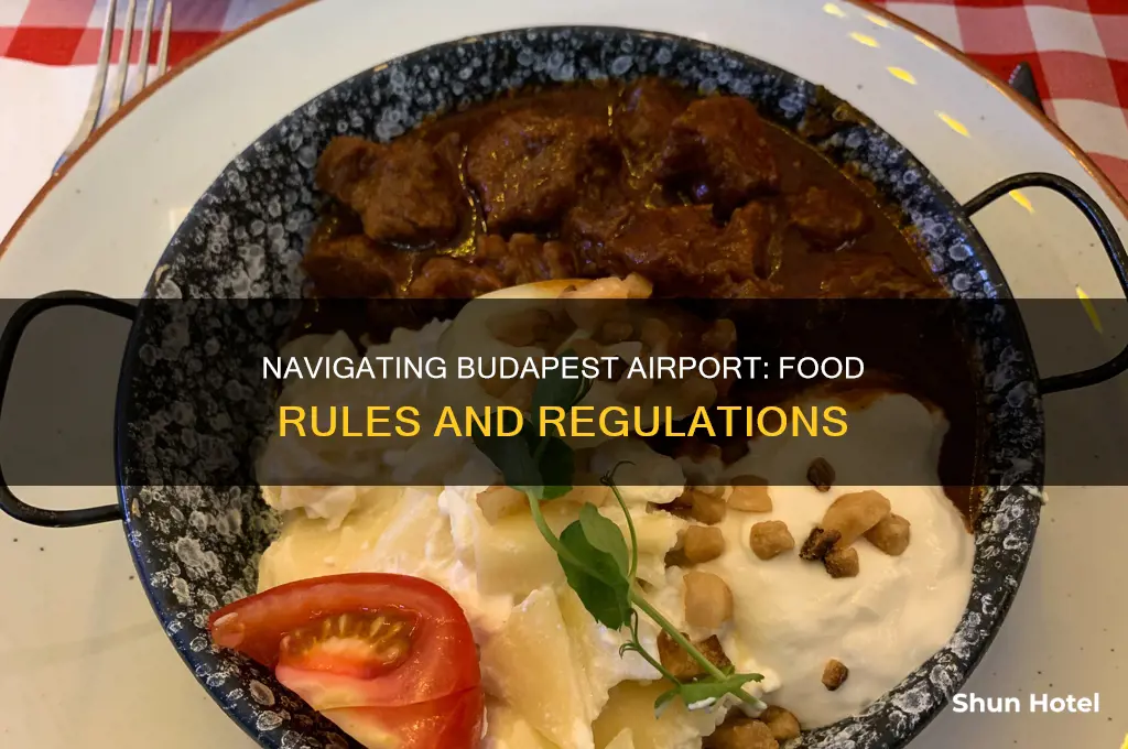 can you take food through budapest airport