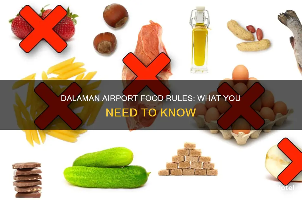can you take food through dalaman airport