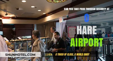 Travelers' Food Guide: O'Hare Airport Security