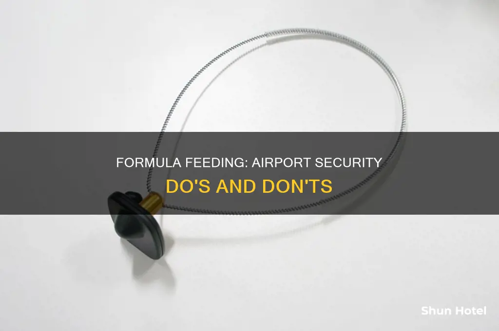 can you take formula through airport security