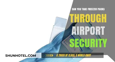 What's the Deal With Freezer Packs at Airport Security?