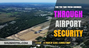 Traveling with Fresh Cherries: Airport Security Rules