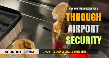 Traveling with Frozen Food: Airport Security Rules