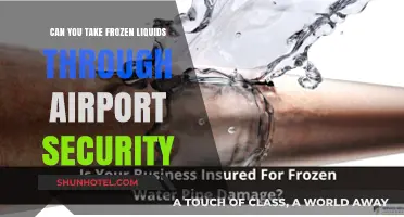 Airport Security: Frozen Liquids, What's Allowed?