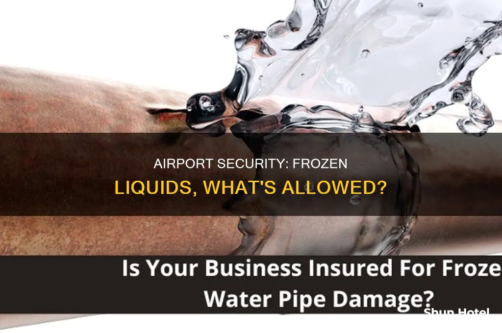 can you take frozen liquids through airport security